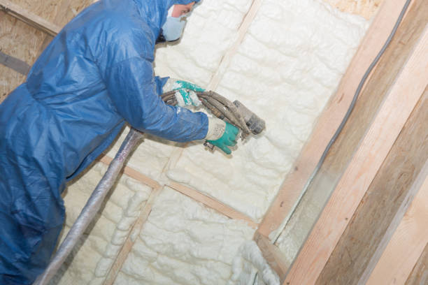 Best Basement Insulation  in Lemon Hill, CA