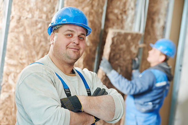 Best Insulation for Existing Homes  in Lemon Hill, CA